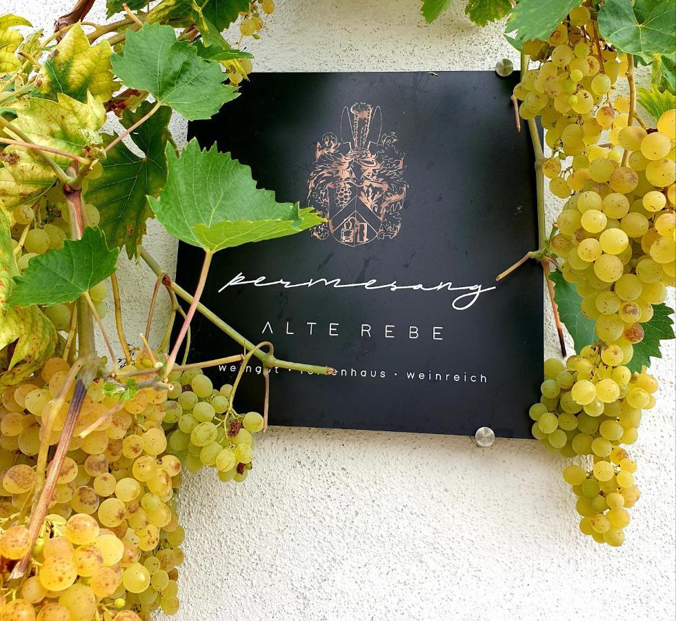Zur Alten Rebe Ferienhaus Und Weingut Konz Exteriör bild