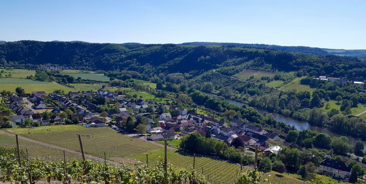 Zur Alten Rebe Ferienhaus Und Weingut Konz Exteriör bild