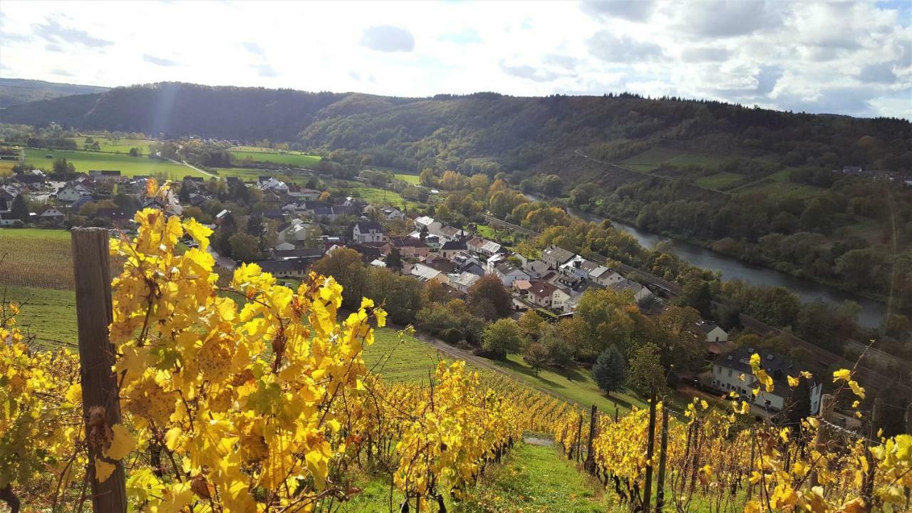 Zur Alten Rebe Ferienhaus Und Weingut Konz Exteriör bild