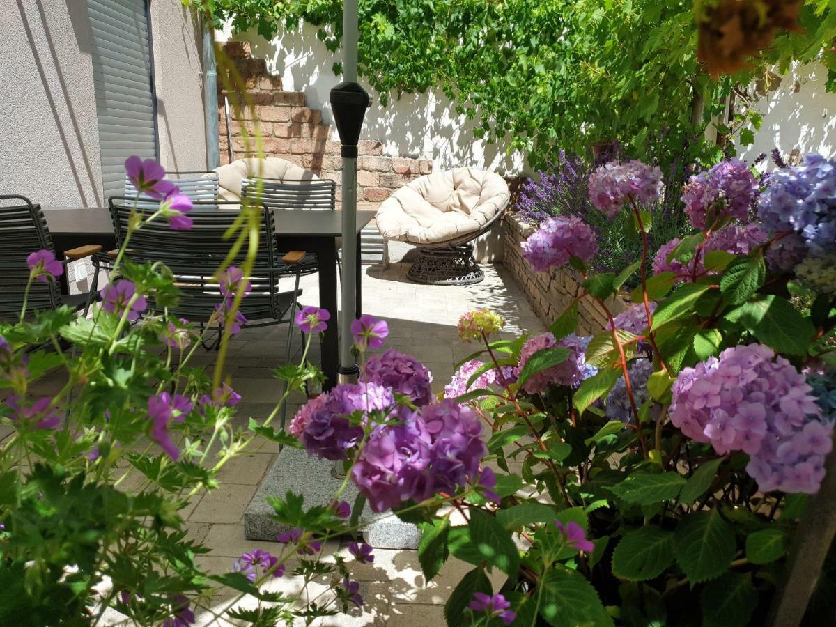 Zur Alten Rebe Ferienhaus Und Weingut Konz Exteriör bild