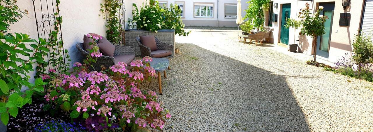 Zur Alten Rebe Ferienhaus Und Weingut Konz Exteriör bild