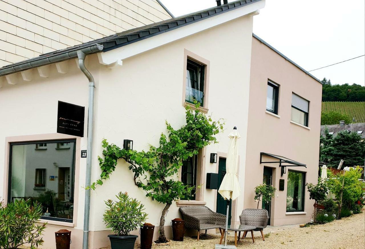 Zur Alten Rebe Ferienhaus Und Weingut Konz Exteriör bild