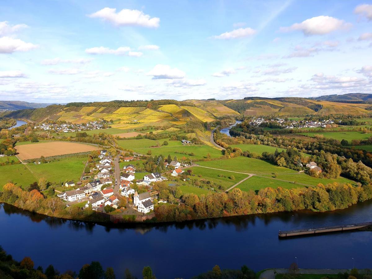 Zur Alten Rebe Ferienhaus Und Weingut Konz Exteriör bild